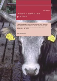 Animal Identification Practices