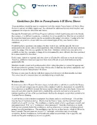 Bit Guidelines for Use in 4-H Horse Shows