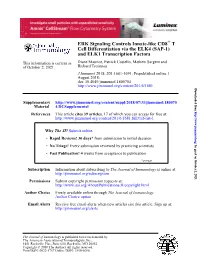 ERK Signaling Controls Innate-Like CD8+ T Cell Differentiation Via the ELK4 (SAP-1) and ELK1 Transcription Factors