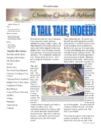 February 2007 Newsletter