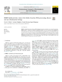 RBMX Family Proteins Connect the Fields of Nuclear RNA Processing