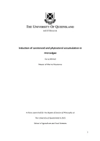 Induction of Carotenoid and Phytosterol Accumulation in Microalgae