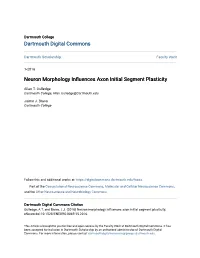 Neuron Morphology Influences Axon Initial Segment Plasticity