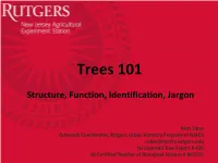 What Makes a Tree