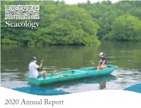 2020 Annual Report Why Islands?