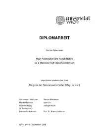 Diplomarbeit