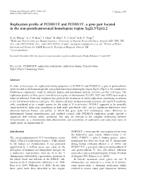 Replication Profile of PCDH11X and PCDH11Y, a Gene Pair Located In
