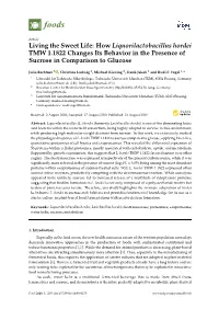 How Liquorilactobacillus Hordei TMW 1.1822 Changes Its Behavior in the Presence of Sucrose in Comparison to Glucose