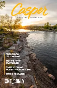 Official Guide 2020