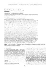 Test of Self-Organization in Beach Cusp Formation Giovanni Coco,1 T