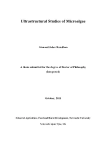 Ultrastructural Studies of Microalgae