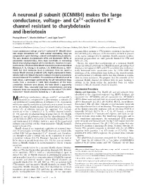 A Neuronal Subunit (KCNMB4) Makes the Large Conductance, Voltage