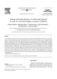 Storage and Mineralization of Carbon and Nitrogen in Soils of a Frost-Boil Tundra Ecosystem in Siberia