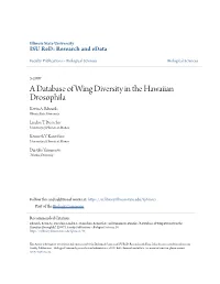 A Database of Wing Diversity in the Hawaiian Drosophila Kevin A