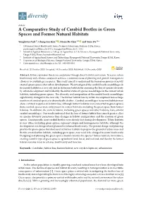 A Comparative Study of Carabid Beetles in Green Spaces and Former Natural Habitats