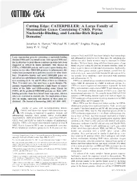 Domains Nucleotide-Binding, And
