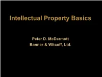 Intellectual Property Law Basics