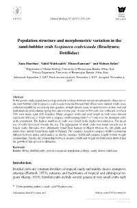 Population Structure and Morphometric Variation in the Sand-Bubbler Crab Scopimera Crabricauda (Brachyura: Dotillidae)