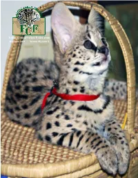 Feline Conservation Federation May/June 2011 • Volume 55, Issue 3 T ABLE Ofcontents Features MAY/JUNE 2011 | VOLUME 55, ISSUE 3