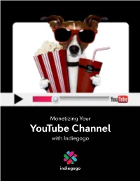 Youtube Channel with Indiegogo Monetizing Your Youtube Channel with Indiegogo