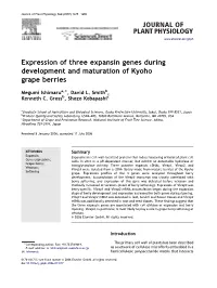 Expression of Three Expansin Genes During Development and Maturation of Kyoho Grape Berries