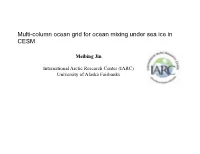 Multi-Column Ocean Grid for Ocean Mixing Under Sea Ice in CESM