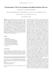 Protein Kinase CK2 in Development and Differentiation (Review)