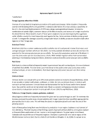 Agronomy Agent Corner