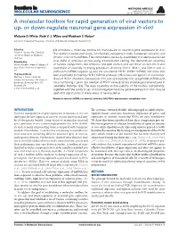 Or Down-Regulate Neuronal Gene Expression in Vivo