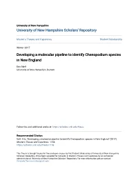 Developing a Molecular Pipeline to Identify Chenopodium Species in New England