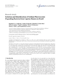 Isolation and Identification of Sodium Fluoroacetate Degrading Bacteria