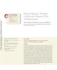 Starting a Molecular Systems View of Endocytosis