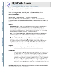 Testicular Organoids to Study Cell-Cell Interactions in the Mammalian Testis