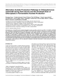 Alternative Acetate Production Pathways in Chlamydomonas Reinhardtii During Dark Anoxia and the Dominant Role of Chloroplasts in Fermentative Acetate Productionw