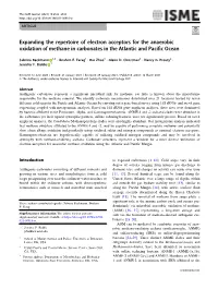 Expanding the Repertoire of Electron Acceptors for the Anaerobic Oxidation of Methane in Carbonates in the Atlantic and Pacific