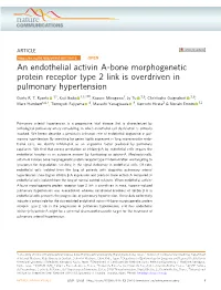 An Endothelial Activin A-Bone Morphogenetic Protein Receptor Type 2 Link Is Overdriven in Pulmonary Hypertension ✉ Gusty R