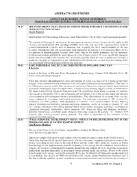Programa / Program