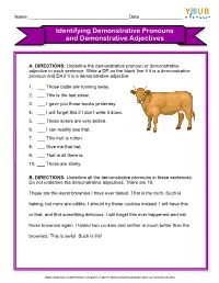 Identifying Demonstrative Pronouns Worksheet