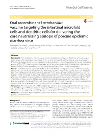 Oral Recombinant Lactobacillus Vaccine Targeting the Intestinal