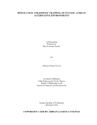 Replication and Kinetic Trapping of Nucleic Acids in Alternative Environments