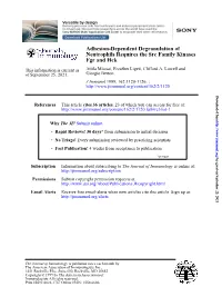 Fgr and Hck Neutrophils Requires the Src Family Kinases Adhesion-Dependent Degranulation Of