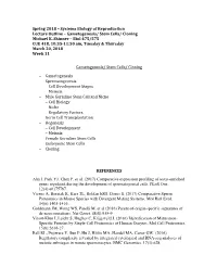 Stem Cells/ Cloning Michael K