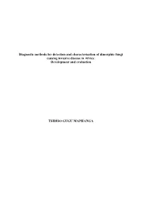Diagnostic Methods for Detection and Characterisation of Dimorphic Fungi Causing Invasive Disease in Africa: Development and Evaluation