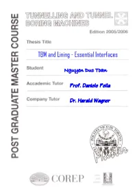 TBM and Lining - Essential Interfaces
