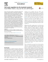 Cell Cycle Regulation by the Bacterial Nucleoid