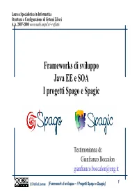 Frameworks Di Sviluppo Java EE E SOA I Progetti Spago E Spagic