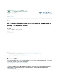Kin Structure, Ecology and the Evolution of Social Organization in Shrimp: a Comparative Analysis