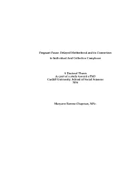 Pregnant Pause: Delayed Motherhood and Its Connection to Individual and Collective Complexes