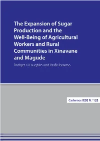 The Expansion of Sugar Production and the Well-Being of Agricultural Workers and Rural Communities in Xinavane and Magude