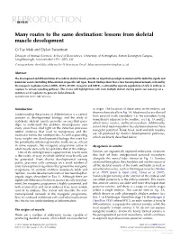 Lessons from Skeletal Muscle Development